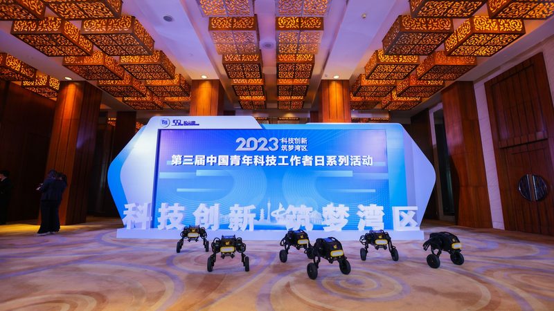 数据安全备份策略：如何构建稳固的防线